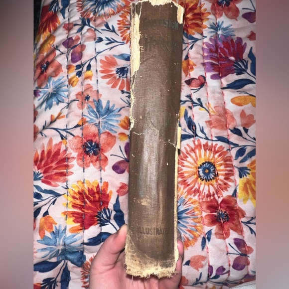 The complete story of the Galveston Horror. - Picture 7 of 12